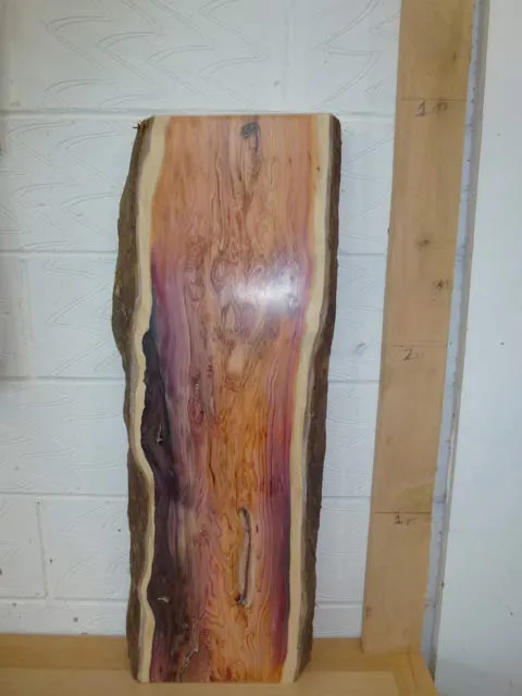 Hardwood timber available from Kent Logs 1