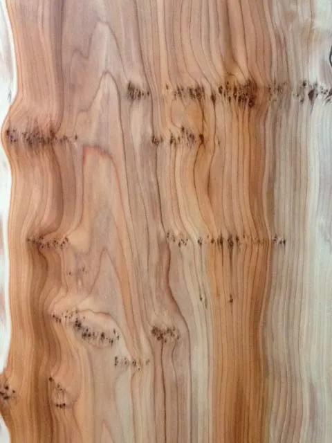 Hardwood timber available from Kent Logs 6