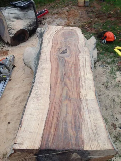 Hardwood timber available from Kent Logs 32