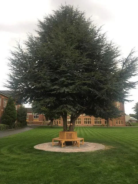 Hardwood timber available from Kent Logs 68