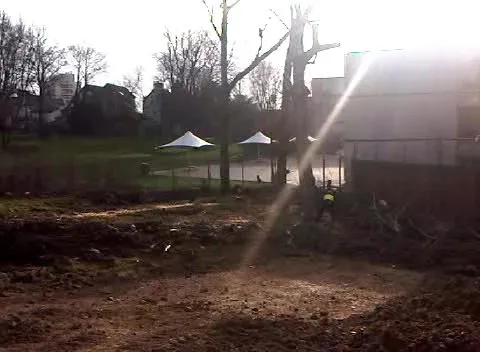 Kent Logs tree surgery and timber work 2