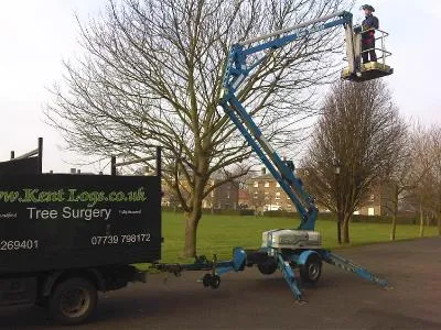 MEWP tree and hedge work 2
