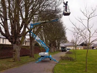 MEWP tree and hedge work 3