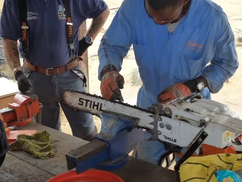 Tree surgeon training in Africa 2
