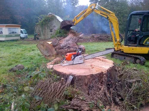 Kent Logs tree surgery and timber work 7