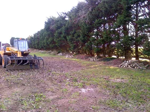 Kent Logs tree surgery and timber work 8