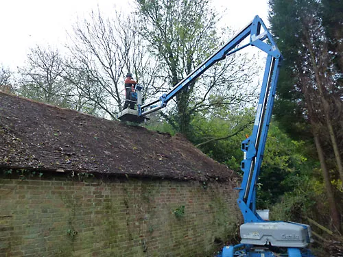 Kent Logs tree surgery and timber work 12
