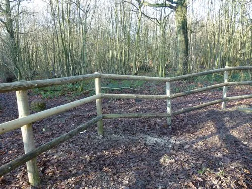 Kent Logs tree surgery and timber work 15