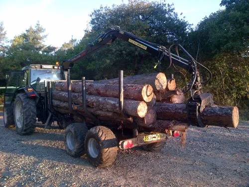 Kent Logs tree surgery and timber work 18