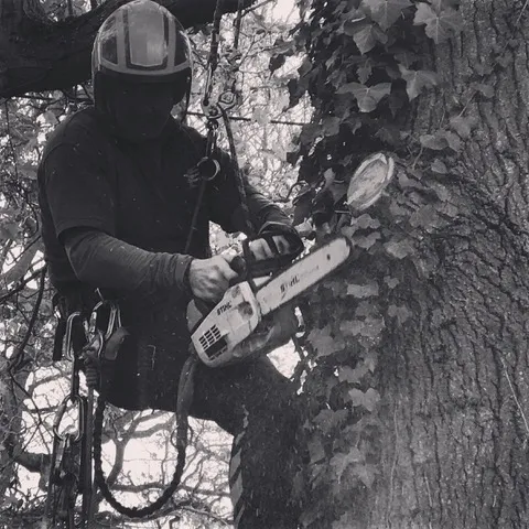 Kent Logs tree surgery and timber work 24