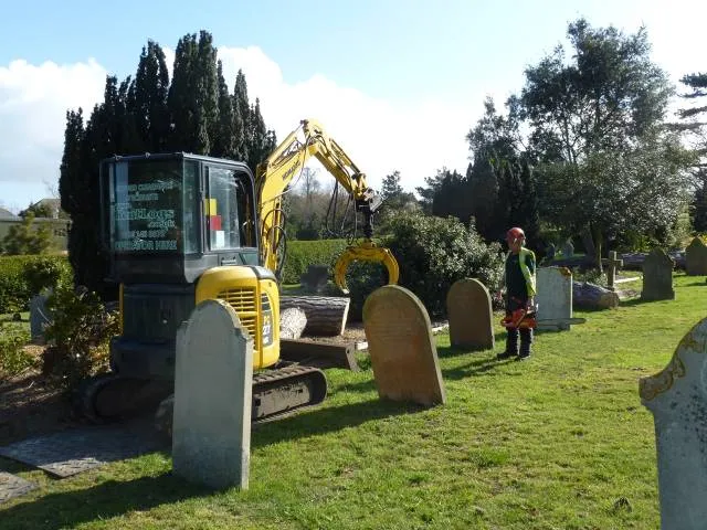 Kent Logs tree surgery and timber work 38