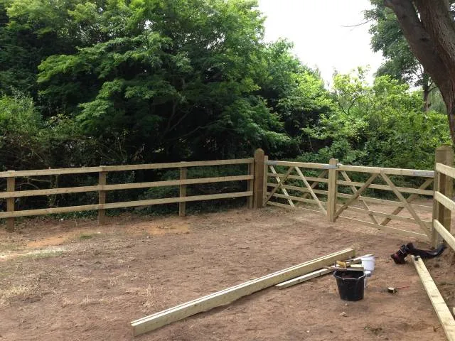 Kent Logs tree surgery and timber work 39