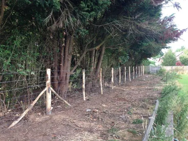 Kent Logs tree surgery and timber work 43