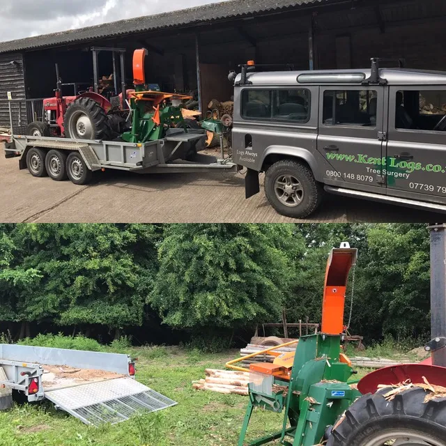 Kent Logs tree surgery and timber work 45