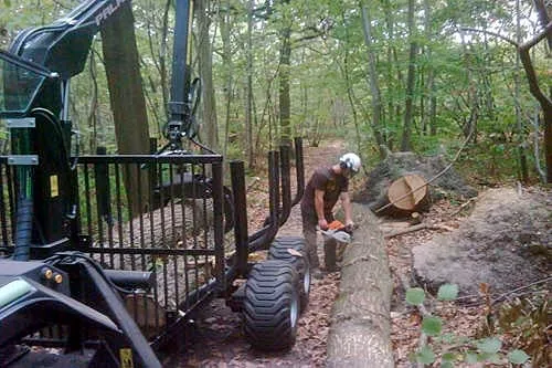 Kent Logs tree surgery and timber work 46