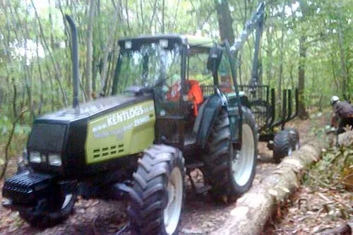 Kent Logs tree surgery and timber work 54