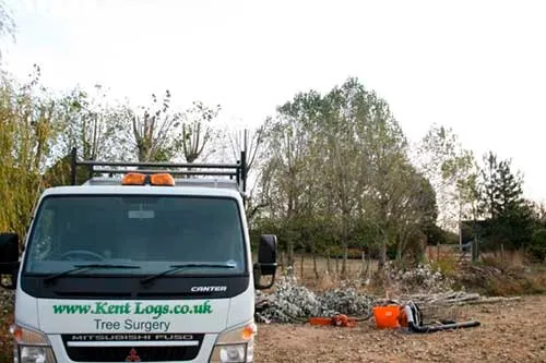 Kent Logs tree surgery and timber work 55