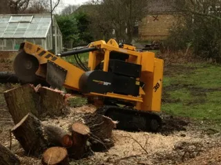 Stump grinding and removal 2