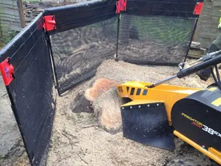 Stump grinding and removal 3