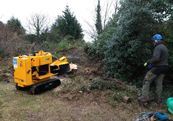 A stump grinder working in a garden