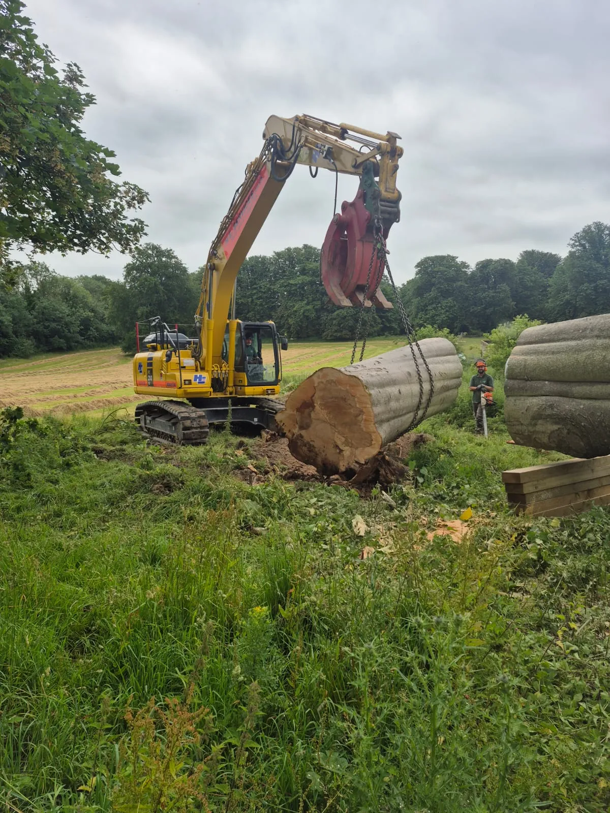 Large tracked excavator handling a substantial timber section
